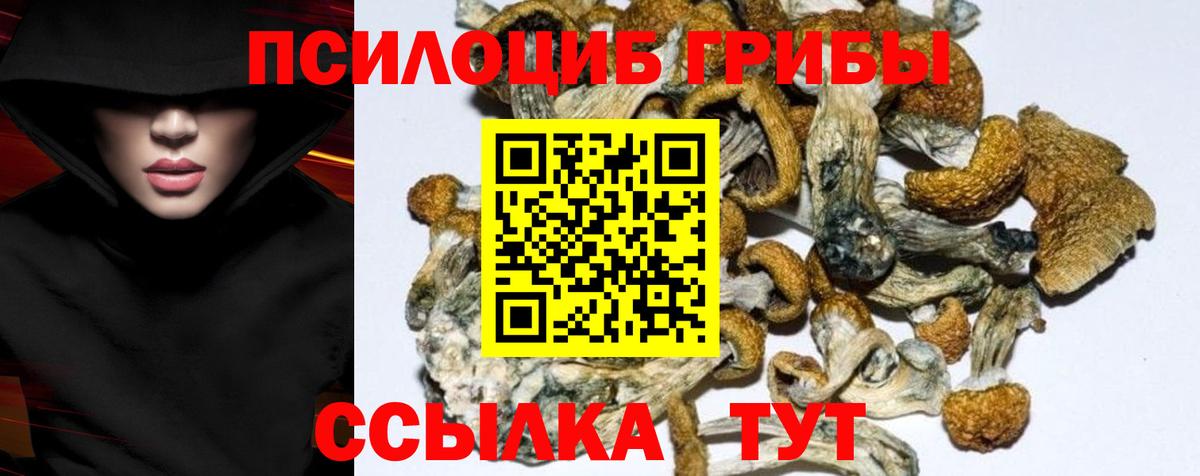 Сосновоборск  Галлюциногенные грибы MAGIC MUSHROOMS  Вход с VPN 