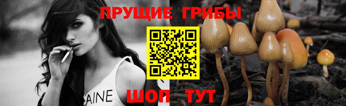 Псилоцибиновые грибы MAGIC MUSHROOMS Сосновоборск